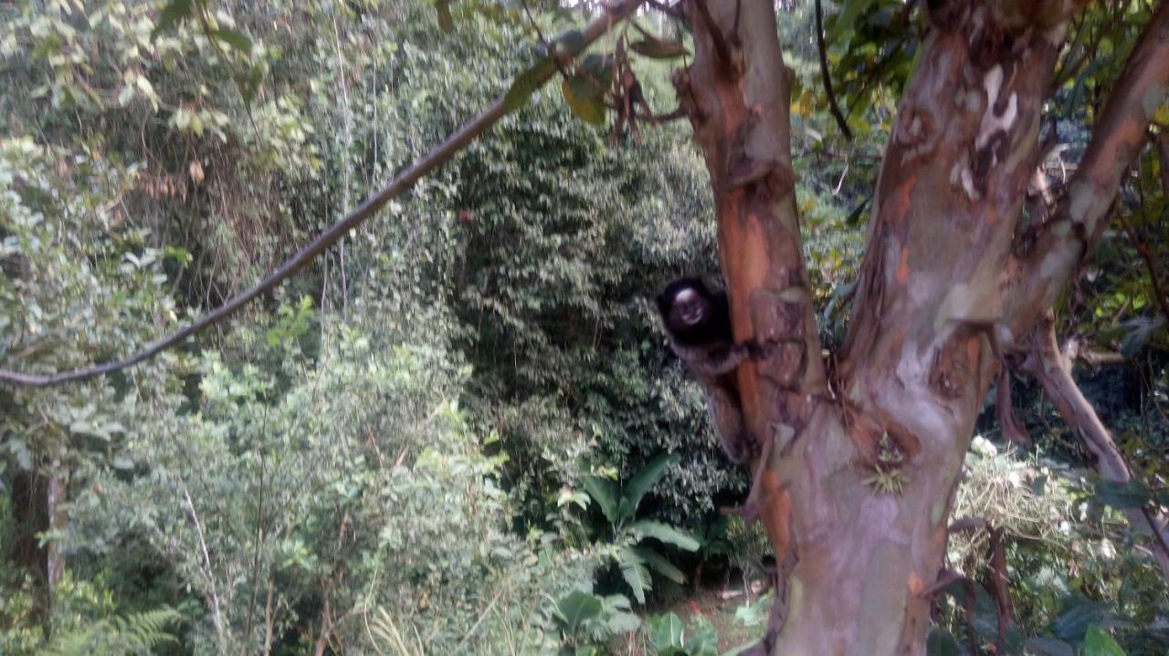 Chalés pouso do vale Visconde de Mauá Extérieur photo